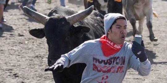 Internet heboh dengan foto narsis orang dikejar banteng