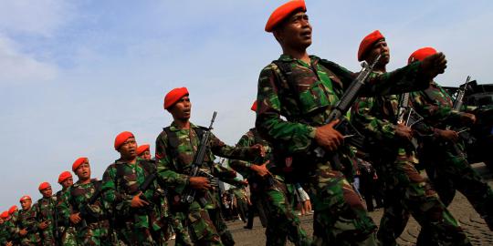 TNI siap netral amankan Pemilu 2014