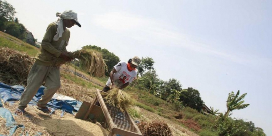 petani rev3