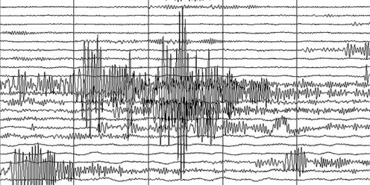 Dini hari, gempa 5,3 SR guncang NTT