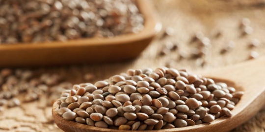 5 makanan ini bantu turunkan berat badan lebih cepat