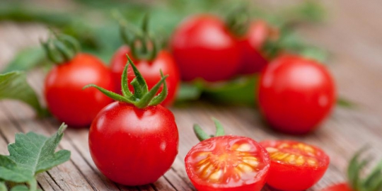 mengandung banyak air