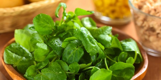 5 makanan ini bantu turunkan berat badan lebih cepat