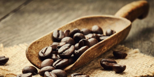 tingkatkan konsentrasi dengan 6 makanan ini!