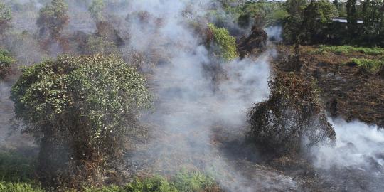 Pagi ini BMKG catat ada 256 titik panas kebakaran hutan Riau