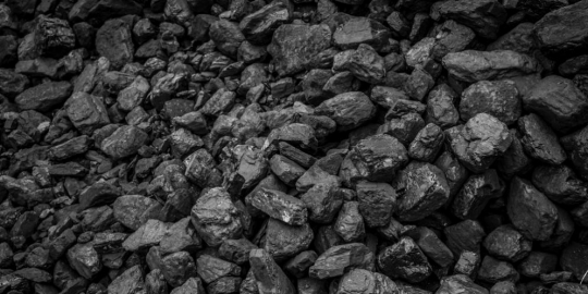 10 bahan dasar kosmetik aneh yang mulai populer di tahun ini