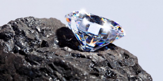 10 bahan dasar kosmetik aneh yang mulai populer di tahun ini