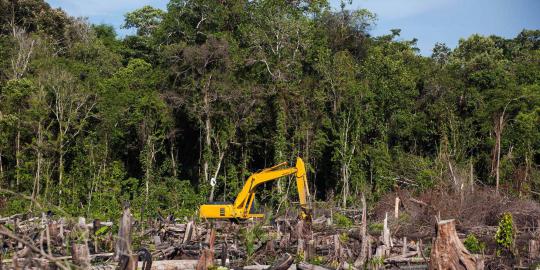 Kebelet bentuk holding BUMN kebun, Dahlan bujuk SBY