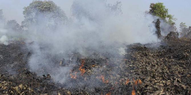 Polda Riau tetapkan 23 tersangka pembakaran hutan