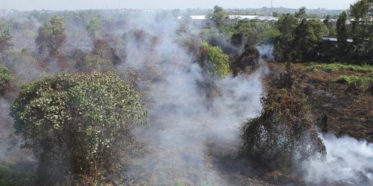Kebakaran hutan Riau capai permukiman, 100 keluarga diungsikan