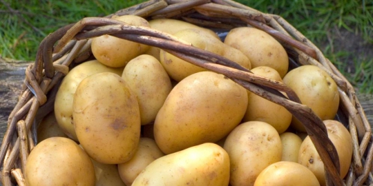 6 makanan ini ampuh redakan sakit kepala