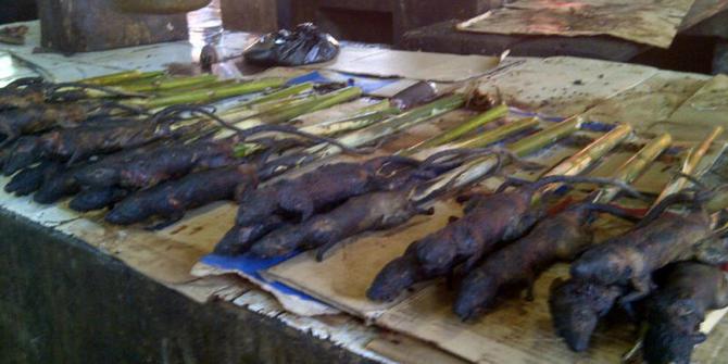 Bagaimana ketahui ciri  tikus  hutan yang dijual di Tomohon 