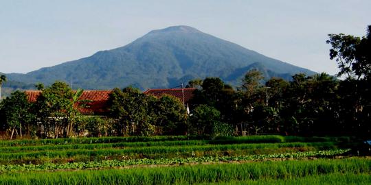 Legenda Nini Pelet Dan Ajian Jaran Goyang Di Gunung Ceremai Merdeka Com