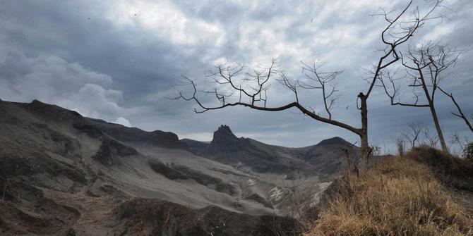 Unibraw ditunjuk teliti sistem pertanian di Kelud pasca 