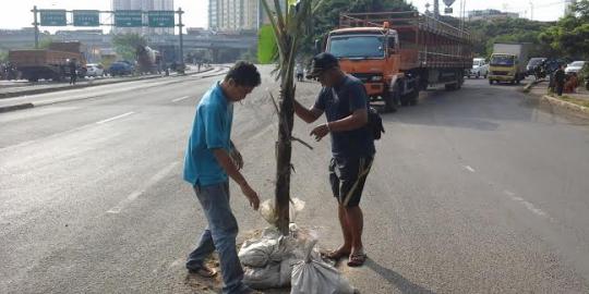 Sering kecelakaan, jalan berlubang ditambal dengan pohon 