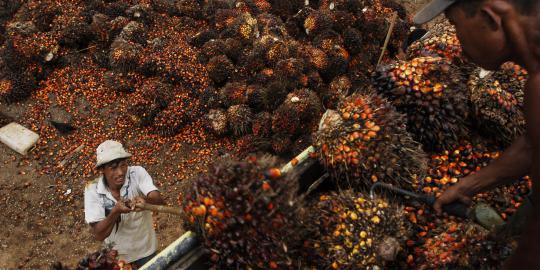 Bisnis kelapa sawit dominasi penyaluran kredit korporasi BCA