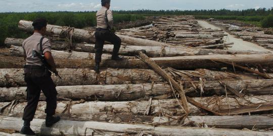 Penebangan pohon sebabkan kualitas air kita tercemar