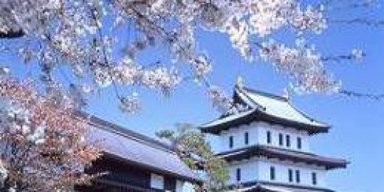 sakura matsumae koen jepang