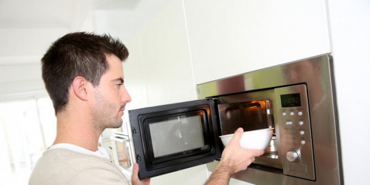 dalam microwave