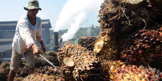 Indonesia impor kelapa sawit dari Malaysia