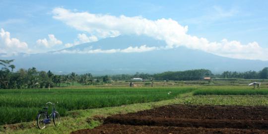 Status Gunung Slamet naik jadi waspada