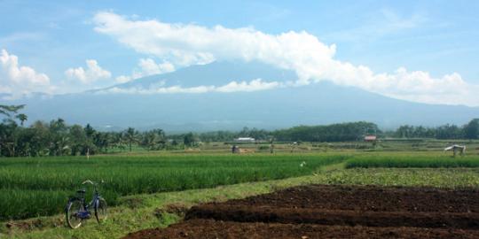 PVMBG: Gunung Slamet sudah mulai reda