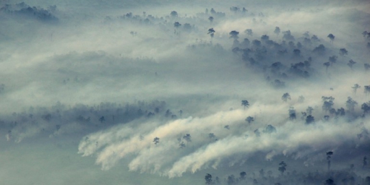 Akibat asap, penerbangan di Riau belum pulih dalam waktu dekat