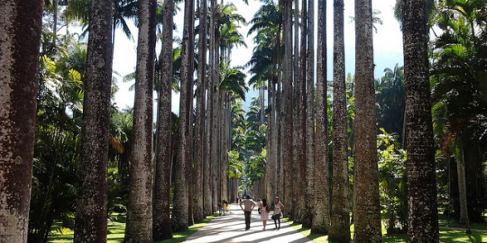 6 objek wisata yang wajib dikunjungi di rio de janeiro