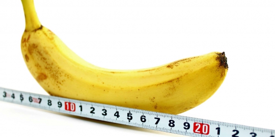 Perusahaan celana dalam Kanada tawarkan asuransi penis