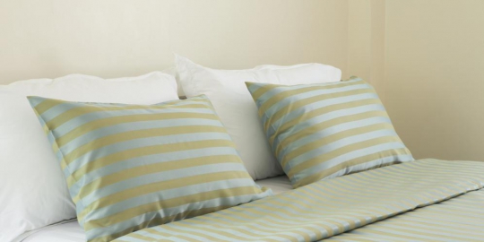 5 hal menjijikkan yang bersembunyi pada bantal