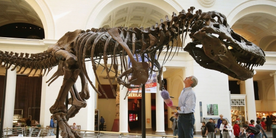 Ternyata T-Rex mini pernah hidup di Kutub Utara