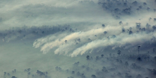 Presiden SBY akan pantau kabut asap di Riau