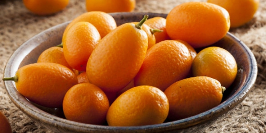 perbanyak konsumsi vitamin c dengan mengonsumsi 7 jeruk ini saat hamil