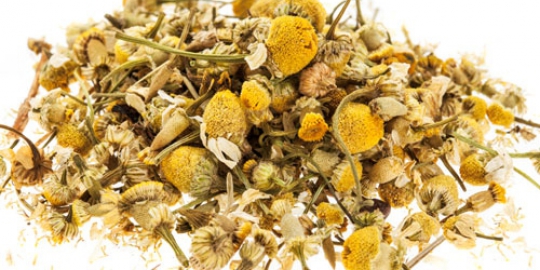 ginseng