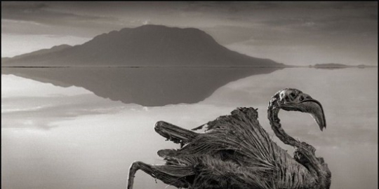 6 danau dengan kondisi alam paling unik