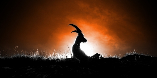 5 Karakter yang dimiliki wanita Capricorn
