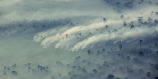 Komisi Yudisial awasi sidang terdakwa pembakar hutan