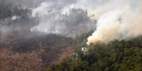 22 dari 67 tersangka pembakar hutan Riau diserahkan ke kejaksaan