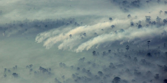 Bakar lahan, 8 orang dan 6 eskavator diamankan Satgas Asap Riau