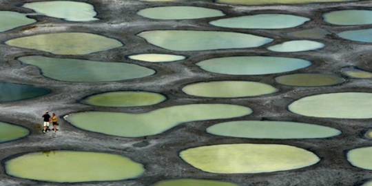 Uniknya danau polkadot di Kanada