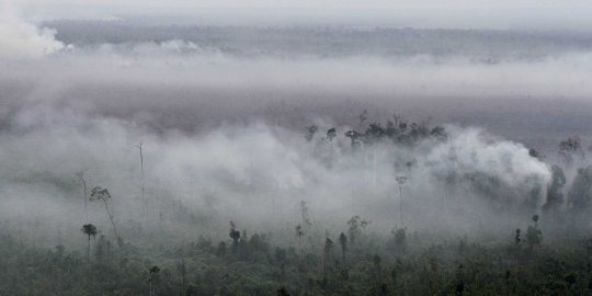 Parahnya kebakaran hutan Riau timbulkan asap tebal