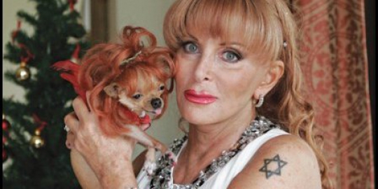 6 orang ini wariskan harta pada anjing