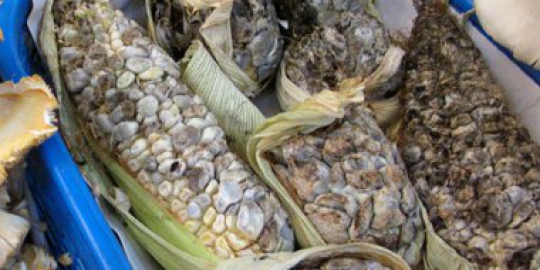 8 menu sarapan unik dari seluruh dunia