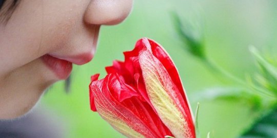 Ternyata hidung manusia mampu kenali satu triliun jenis bau
