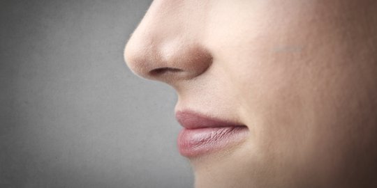 Hidung manusia mampu deteksi 1 triliun aroma berbeda