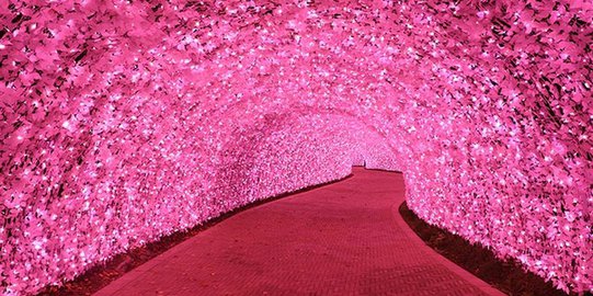 di taman nabana no sato nagashima rev1