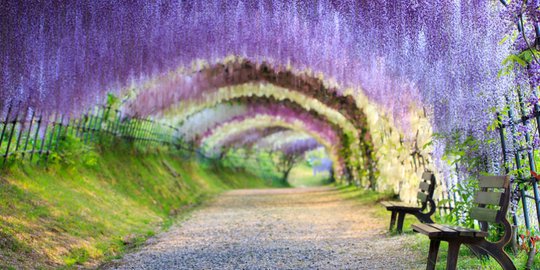 taman kawachi fuji rev1