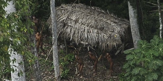 Kisah sedih suku pedalaman Hutan Amazon terancam pembalakan liar