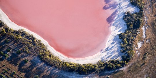 5 Danau unik ini airnya berwarna pink