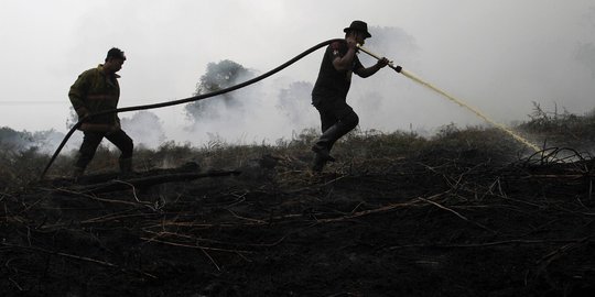 Pembakar Lahan di Riau mau sogok anggota Kostrad Rp 2 juta